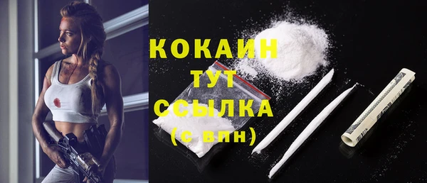 прущий лед Алзамай