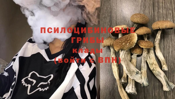 бутират Алексин