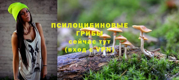 эйфоретик Абаза