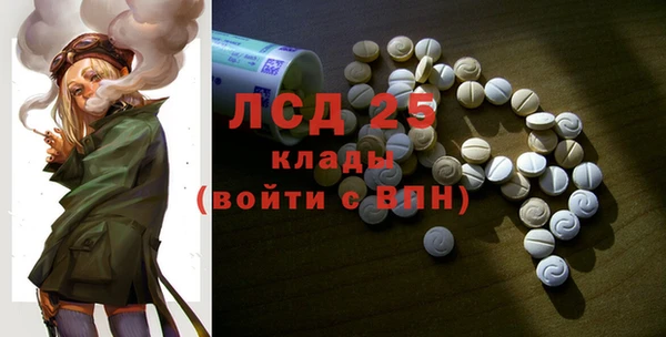 прущий лед Алзамай