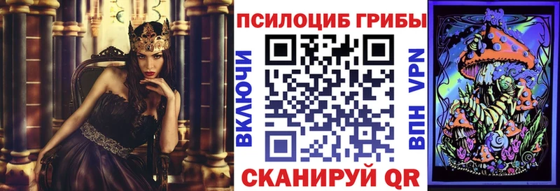 KRAKEN вход  Далматово  Псилоцибиновые грибы GOLDEN TEACHER 